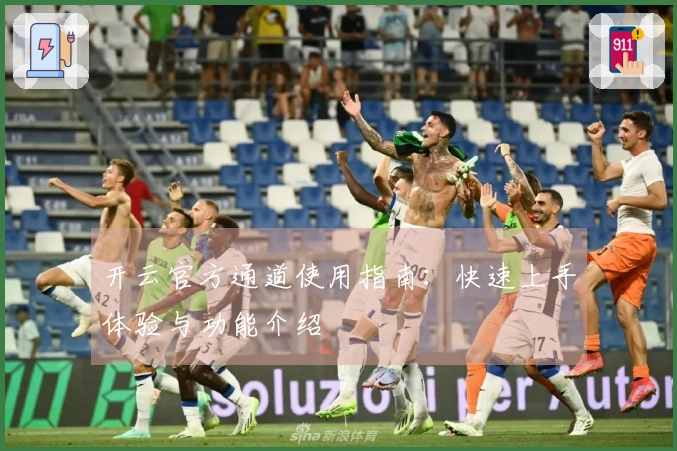 开云官方通道使用指南：快速上手体验与功能介绍