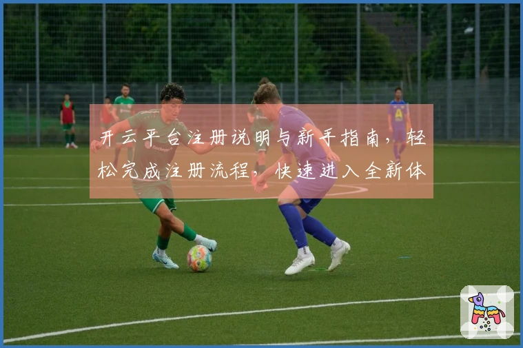 开云平台注册说明与新手指南，轻松完成注册流程，快速进入全新体验
