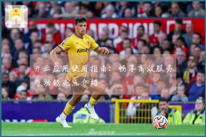 开云应用使用指南：畅享高效服务与功能亮点介绍