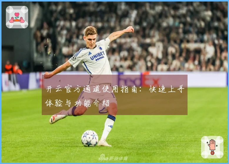 开云官方通道使用指南：快速上手体验与功能介绍