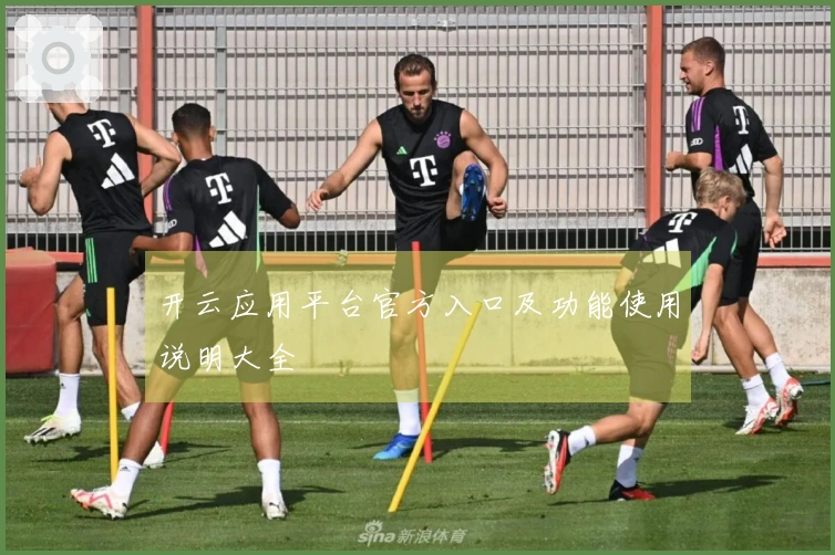 开云应用平台官方入口及功能使用说明大全